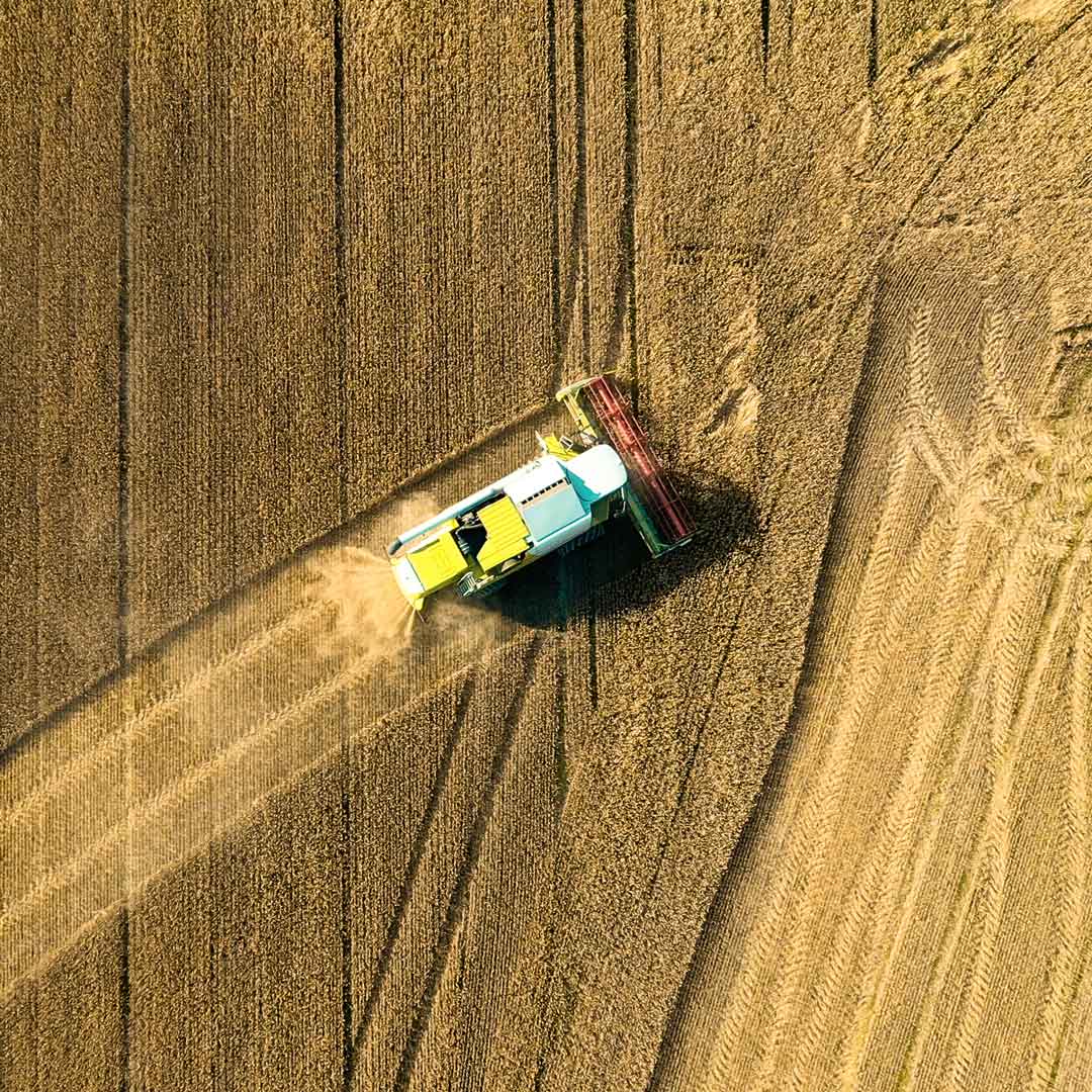 Ylhäältä otettu kuva pellosta, jossa puimuri ajaa viljaa.